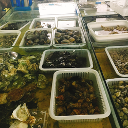 成都農產品中心批發市場海水產交易區信息指南